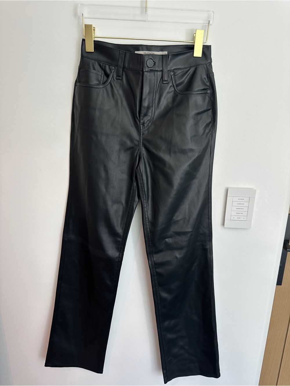 Hudson leather pants